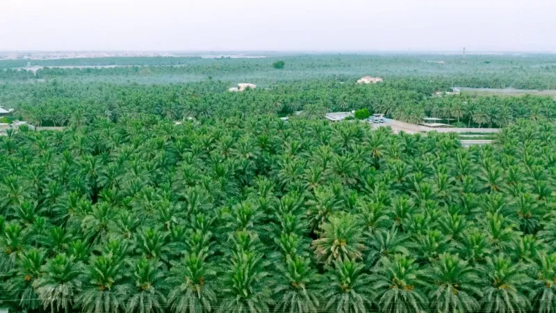 06 Days Riyadh Trip and Dammam